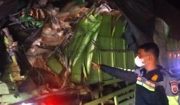 Bus Pariwisata Tabrak Truk di Tol Pekanbaru-Dumai, 5 Penumpang Luka-luka - JPNN.com