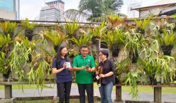 Peringati Hari Hutan Indonesia: Label FSC Penting Bagi Kehidupan Sehari-hari - JPNN.com