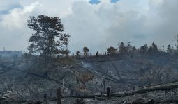 Diduga Merambah dan Bakar Hutan Lindung TNTN Riau, 2 Pria Ini Ditangkap Polisi - JPNN.com