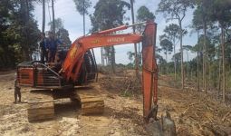 Hutan di Kampar Ini Dirambah untuk Kebun Sawit, Cukongnya Siap-Siap Saja - JPNN.com