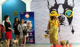 Pawppy Dog Matters Ajak Pencinta Anabul Lomba Fashion Show - JPNN.com