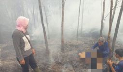 Damiana Sumiati Terjebak dalam Kebakaran Lahan di Kapuas Hulu, Innalillahi - JPNN.com