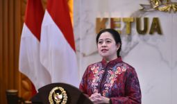 Puan Minta Mentan Amran Sulaiman Memaksimalkan Kedaulatan Pangan - JPNN.com