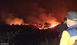 133 Hektare Lahan di TN Gunung Ciremai Terbakar, Angin Menyulitkan Pemadaman - JPNN.com