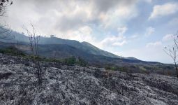 Lereng Gunung Arjuno Terbakar, Beginilah Kondisinya - JPNN.com
