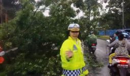 Cuaca Ekstrem di Pekanbaru Akibatkan Pohon Tumbang, Polwan Ini Langsung Turun Tangan - JPNN.com
