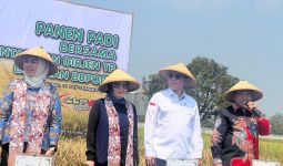 Turun Langsung Cek Kondisi Pertanian di Karawang, Wamentan: Alhamdulillah - JPNN.com