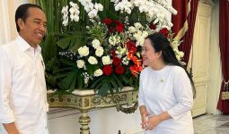 Puan Maharani Melaporkan Hasil Pertemuannya dengan Jokowi, Seru Banget - JPNN.com