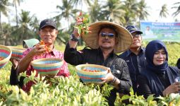 Kendalikan Inflasi, Mentan SYL Dukung Penuh Pengembangan Cabai di Lombok Timur - JPNN.com