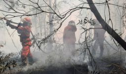 4.082,8 Hektare Lahan dan Hutan di Sumsel Terbakar - JPNN.com