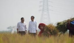 Plt Mentan Langsung Bergerak, Mendampingi Presiden Panen Raya di Sukamandi - JPNN.com