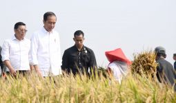 Didampingi Plt Mentan Panen Raya di Subang, Jokowi Merasa Senang, Ada Apa? - JPNN.com