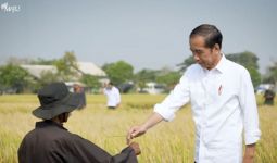 El Nino & Geopolitik, Jangan Galau, Jokowi: Cadangan Beras Cukup - JPNN.com