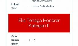 Kategori Peserta Honorer Kosong di Resume Pendaftaran PPPK 2023, Amankah? Simak Penjelasan BKN - JPNN.com