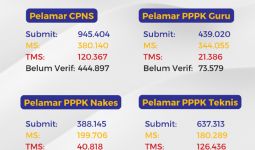 Jumlah Pendaftar CPNS 2023 & PPPK, yang TMS Banyak Banget, Ya Ampun - JPNN.com
