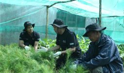 BRI Peduli Grow & Green Tanam 2.500 Bibit Pohon di Samosir - JPNN.com