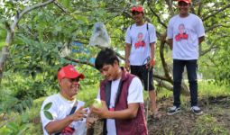 Berkat Bantuan Orang Muda Ganjar Riau, Petani Jambu Terbebas dari Hama - JPNN.com