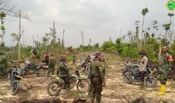 Perambah Hutan di TNTN Sabotase Jalur Petugas Patroli, Pasang Ranjau Paku - JPNN.com