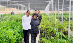 Menteri Siti Dampingi Presiden Jokowi Tinjau Persemaian Mentawir di IKN - JPNN.com
