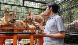 Ada Diskon Khusus Hari Pahlawan di Taman Safari Bogor - JPNN.com