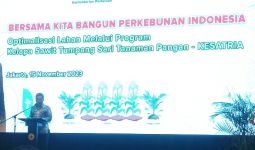 Kurangi Impor Jagung, Kementan Dorong Program Kelapa Sawit Tumpang Sari Tanaman Pangan - JPNN.com