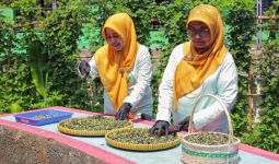 Berkat BRInita, Teh Herbal Jadi Produk Unggulan Poktan Bensor Semarang - JPNN.com