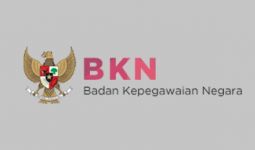 NIP PPPK 2023 yang Diterbitkan Minim, Usulan Diperpanjang Lagi? Ini Penjelasan BKN - JPNN.com