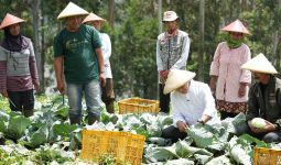 Anies Tawarkan Akses Pupuk dan Kepastian Harga kepada Petani - JPNN.com