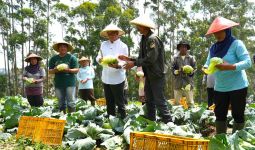 Tolak Food Estate, Anies Tegaskan Komitmen Kembangkan Contract Farming - JPNN.com