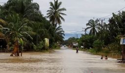Banjir Melanda 5 Desa di Nagan Raya - JPNN.com