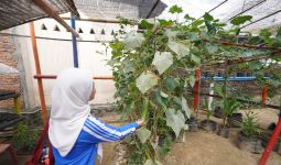 Warga Tuminting & BRI Menyulap Timbunan Sampah Jadi Lahan Urban Farming 'BRInita' - JPNN.com