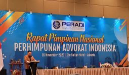 Peradi Pimpinan Otto Hasibuan Tegas Menolak Pembentukan DAN - JPNN.com