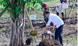 Presiden Jokowi Menanam Pohon Bersama Masyarakat Embung Anak Munting NTT - JPNN.com