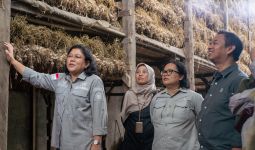 Kementan Sebut Keberhasilan Swakelola Produksi Benih Bawang Putih jadi Insiprasi - JPNN.com