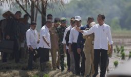 Tinjau Penanaman Padi di Pekalongan, Jokowi: Kita Kejar Tanam - JPNN.com