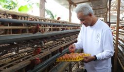 Ganjar Masuk ke Kandang Ayam, Terkenang Masa Hidup Berat saat Satu Telur Dibagi Empat - JPNN.com