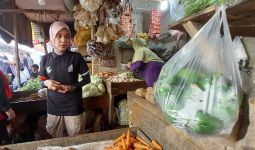 Cek Harga Bahan Pokok, Atikoh Ganjar Blusukan ke Pasar di Bondowoso - JPNN.com