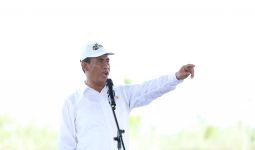 Mentan Amran Terus Pastikan Akselerasi Produksi Padi dan Jagung Berjalan Lancar - JPNN.com