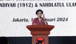 Megawati Ungkap Upaya Memperjuangkan NU-Muhammadiyah Terima Penghargaan Zayed Award - JPNN.com