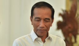 Jokowi Bicara soal Jembatan sama Surya Paloh, Itu Baru Awal - JPNN.com