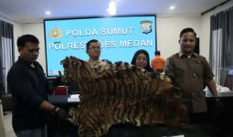 Kulit Harimau Sumatra Dijual Rp 15 Juta - JPNN.com
