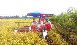 Penyuluh dan Petani di Sorong Berkolaborasi Meningkatkan Hasil Panen - JPNN.com