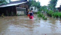 Banjir di Jember, Ratusan Rumah Terendam dan 1 Orang Terluka - JPNN.com