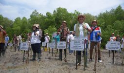 Dukung Upaya Mitigasi Perubahan Iklim, Pertamina Rehabilitasi Mangrove di Kupang NTT - JPNN.com