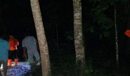 Dedi Saputra Hilang di Hutan Sagu Kendari - JPNN.com