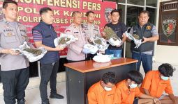 3 Pengedar Ganja Ditangkap di Palembang, Ada yang Kenal? - JPNN.com