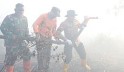 50 Hektare Lahan Gambut di Pelalawan Terbakar - JPNN.com