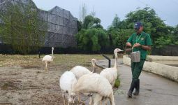Aviary Park Hadirkan Pengalaman Konservasi Unik di Tengah Kota - JPNN.com