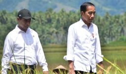 Didampingi Mentan Amran Kunjungi Panen Padi di Sigi, Jokowi: Bagus - JPNN.com