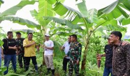 Pisang Cavendish Sudah Berbuah, Lihat tuh Senyum Pj Gubernur Sulsel Bahtiar - JPNN.com